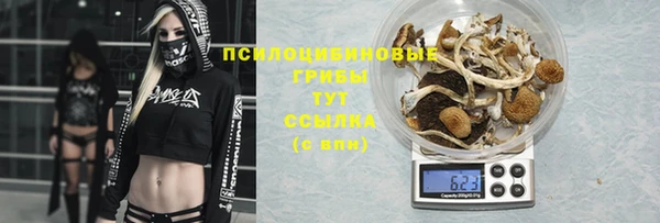 ECSTASY Карпинск