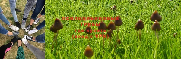 прущий лед Касимов