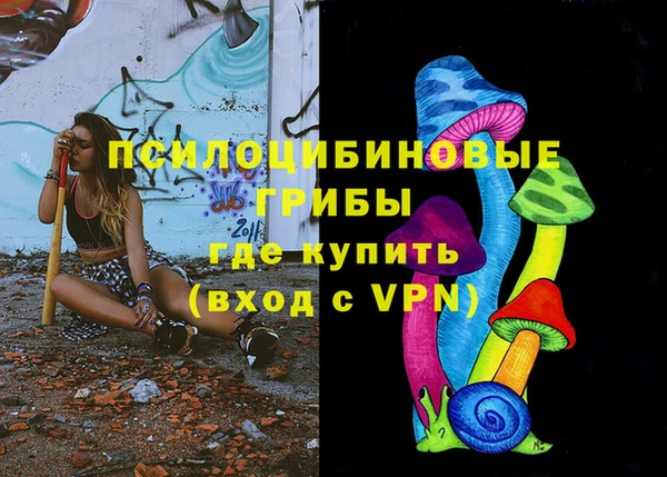 прущий лед Касимов
