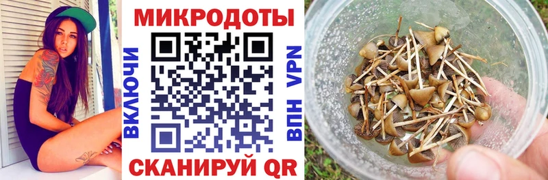 Купить  Серов  Псилоцибиновые грибы MAGIC MUSHROOMS 